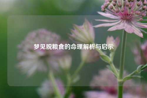 梦见脱粮食的命理解析与启示