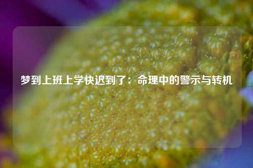 梦到上班上学快迟到了：命理中的警示与转机
